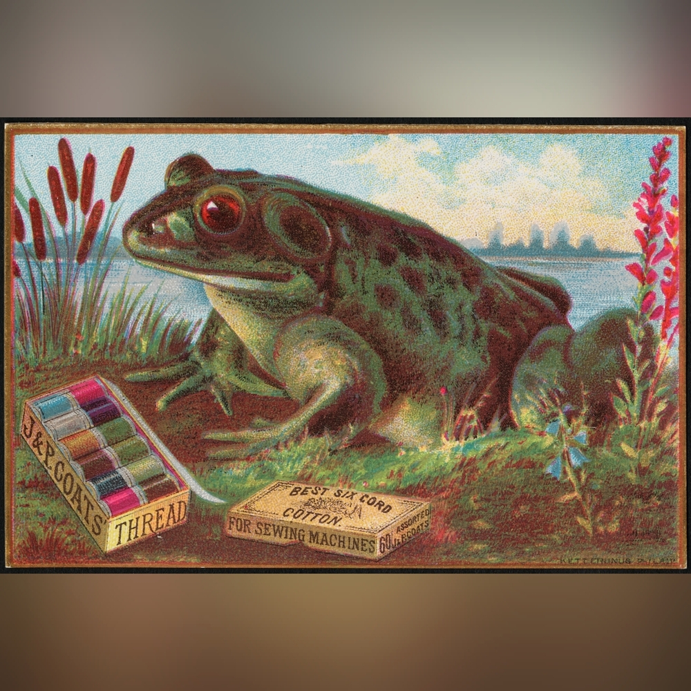 Green Frog Reptile Decor Art Print